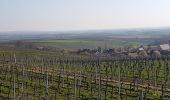 Randonnée Marche Dahlenheim - Circuit du Rutscherle variante - Photo 12