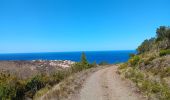 Tocht Stappen Cerbère - cerbère. cap cerbère. coll dels belitras . puig dels frères. cerbère - Photo 2