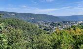 Tour Wandern Fumay - Fumay les Ardoisieres  - Photo 2