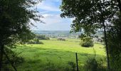 Tocht Stappen Aubange - Bois d’Halanzy et crassier de Musson - Photo 1