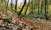 Trail Walking Vresse-sur-Semois - Membre - Vresse - Photo 1