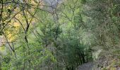 Excursión Senderismo Die - Abbaye de Valcroissant - Photo 3