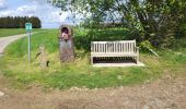 Trail Walking Havelange - Barvaux en Condroz 220425 - Photo 12