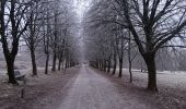 Trail Walking Spa - petit tour de la fagne - berinzenne - Photo 1