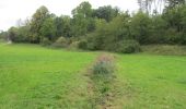 Tour Zu Fuß Bad Sooden-Allendorf - Premiumweg P7 Söder Wald - Photo 1