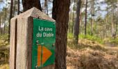 Percorso Marcia Ormoy-le-Davien - 040522 - Boucle Ormoy le Davien - Moulin de Wallu... - Photo 15