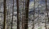 Trail Walking Sprimont - Banneux-Taçremont - Photo 6