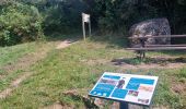 Trail Walking Larmor-Baden - PR_56_Larmor-Baden_BA_02_Tour-De-Berder-Et-Du-Marais_Circuit4a_20240717 - Photo 15