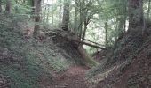 Randonnée Marche Yvoir - mont godinne 120520 - Photo 2