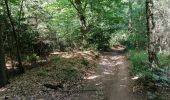 Trail Walking Verviers - aqueduc-bois de Hèvremont-gileppe-cossart - Photo 2