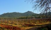 Tour Wandern La Crau - Fenouillet - Chateau de Hyères - retour par les vignes - Photo 2