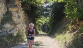 Excursión Senderismo Saint-Julien-en-Beauchêne - col des tours - Photo 2