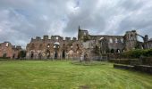 Excursión Senderismo Thuin - Thuin -Abbaye d’Aulne et retour par la Biesmelle - Photo 5