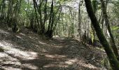 Trail Walking Die - Le Dôme ou Pié Ferré de l'Abbaye Valcroissant - Photo 3