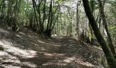 Percorso Marcia Die - Le Dôme ou Pié Ferré de l'Abbaye Valcroissant - Photo 3