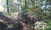 Trail Walking Dalhem - wixhou feneur dalhem  - Photo 8