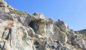 Excursión Senderismo Santo-Pietro-di-Tenda - Le sentier côtier entre la plage de Seleccia et celle de Lotu - Photo 4