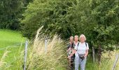 Tour Wandern Nandrin - Villers - Photo 1