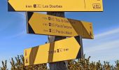Tour Wandern Digne-les-Bains - Les Dourbes - Barre des Doubes - Photo 5