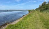 Trail Walking Veere - Veere 18,2 km  - Photo 12