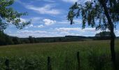 Randonnée Marche Theux - autour de Bronromme a travers campagne fagne et forêt  - Photo 13