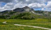 Tocht Stappen Colmars - Pk Ratery - Col des Champs - Photo 1