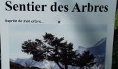 Tour Wandern Gresse-en-Vercors - Le tour du palais - Photo 5