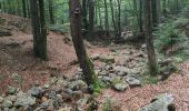 Percorso Marcia Spa - Berinzen - Photo 1