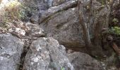 Randonnée Marche La Roquebrussanne - Source des Orris rochers menhirs (83) - Photo 5