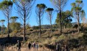 Trail Walking Fréjus - z mines de Boson 14-12-21 - Photo 1