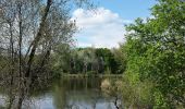 Tour Zu Fuß Gemeinde Weiden an der March - Biberweg - Photo 4