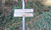 Percorso A piedi Vertova - Il Sentiero di San Patrizio - Photo 6