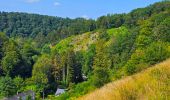 Tour Wandern Ferrières - Balade à Vieuxville - Photo 5