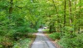 Tocht Te voet Warburg - Rundwanderweg 