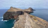 Tocht Stappen Caniçal - PR8 Madère Madeira - Photo 10