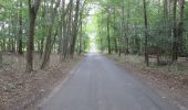 Randonnée A pied West Suffolk - Green Heathland Trail - Photo 4