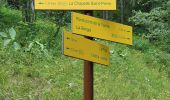 Trail Walking Valloire - Valloire-La Chapelle Saint-Pierre - Photo 3