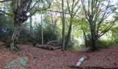 Tocht Te voet Oudsbergen - Station As Groene rechthoek - Photo 9