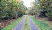 Randonnée Vélo électrique Saint-Clément - sortie vtt 16102022 baccarat par Badmenil - Photo 4