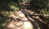 Trail Walking Largentière - 07 largentiere joannas taurier - Photo 20