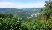 Excursión Senderismo Septmoncel les Molunes - 190624 - Jura.2 - Montépile  - Photo 5