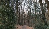 Trail Walking Huy - Bois de Tihange - Photo 7