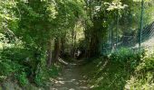 Randonnée Marche Liège - rando la plus bucolique sur les coteaux rive gauche de la meuse - Photo 3