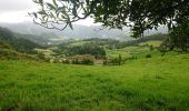 Trail Walking Furnas - pico et lac furnas - Photo 4