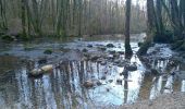 Excursión Marcha nórdica Les Planches-près-Arbois - cascades des tufs - Photo 2