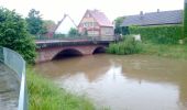 Tour Zu Fuß Einhausen - Rundwanderweg Lorsch Teschenauer Berg 2: Gewässer-Lehrpfad - Photo 6