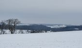 Tour Wandern Havelange - rando nettine 9/02/2021 - Photo 4