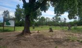 Randonnée Marche Les Arcs-sur-Argens - Les Arcs Menhirs et Dolmen - Photo 5