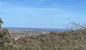 Tocht Stappen Montesquieu-des-Albères - Montesquieu des Albères - Photo 6