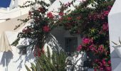 Tour Wandern Δημοτική Ενότητα Θήρας - Santorin le 26-09-19 - Photo 13